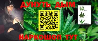 прущие крисы Будённовск