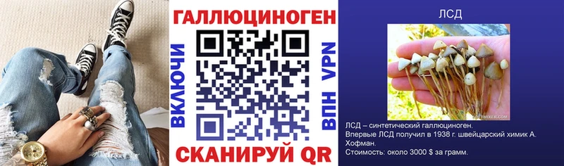 Псилоцибиновые грибы мухоморы  где найти наркотики  гидра ONION  Новокубанск 