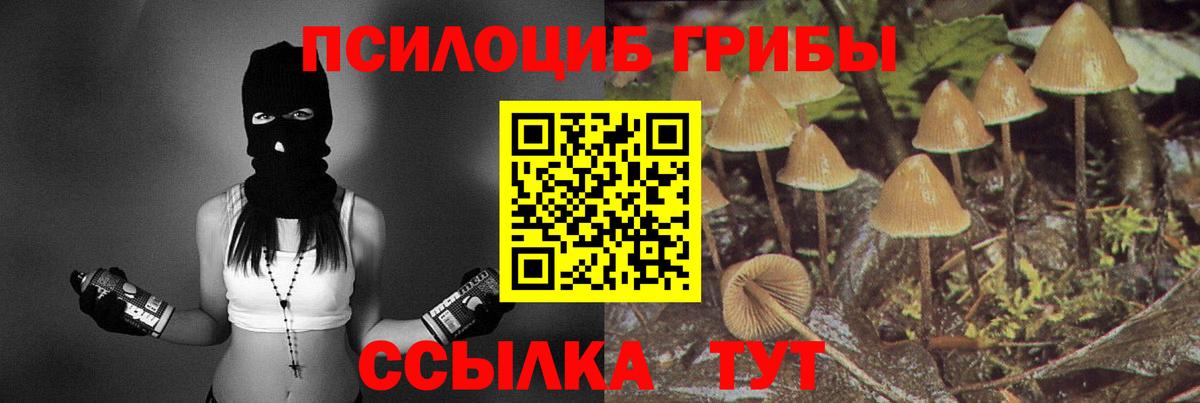 Псилоцибиновые грибы GOLDEN TEACHER  закладки  Новокубанск  Галлюциногенные грибы Psilocybe  Вход с VPN 
