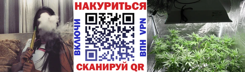 Каннабис Amnesia  Новокубанск 